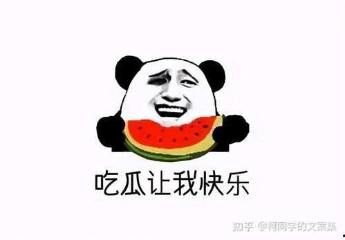 你妈不容易原版娱乐吃瓜