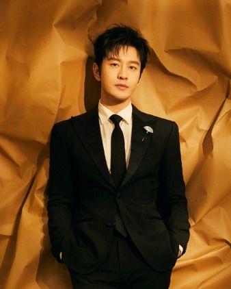 中国男明星演员,盘点当红男明星演员风采