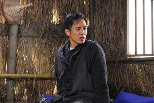 菩提树下花絮集锦,禅意盎然，智慧流淌